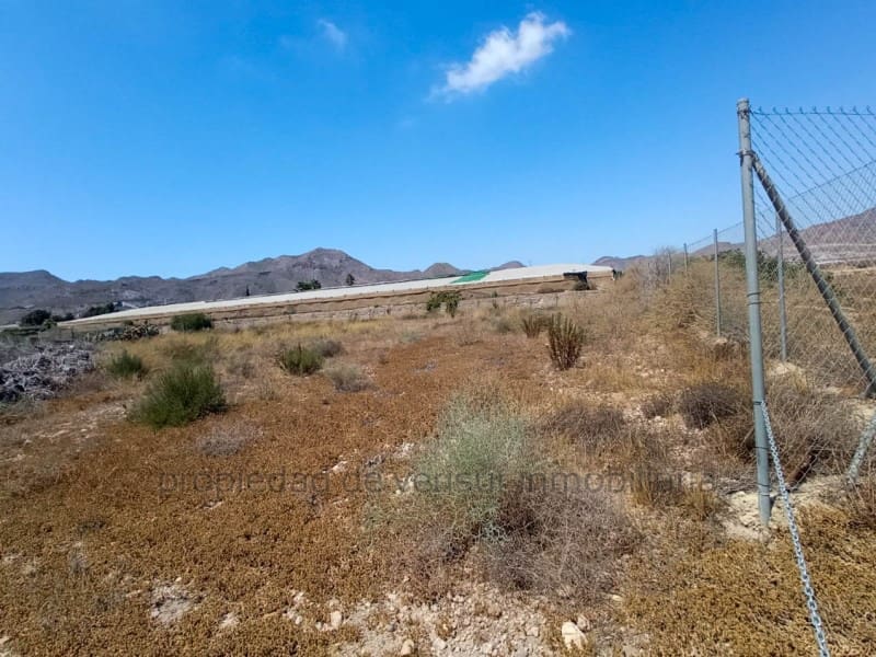 Byggegrund til salg i San Juan de los Terreros - € 84.000 (Ref: 9150044)