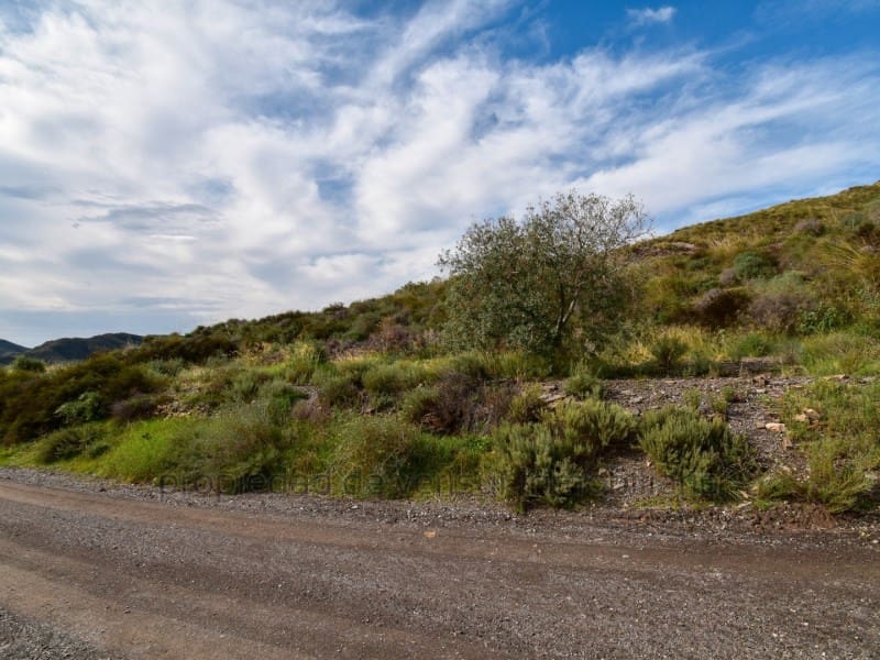Undeveloped Land for sale in Aguilas - € 125,000 (Ref: 9375391)