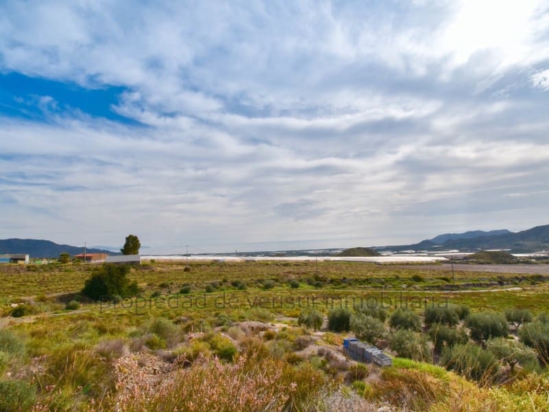 Undeveloped Land for sale in Aguilas - € 125,000 (Ref: 9375391)