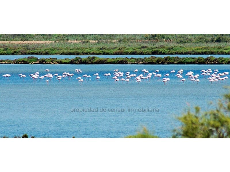 2 bedroom Apartment for rent in Vera with garage - € 750 (Ref: 9497291)