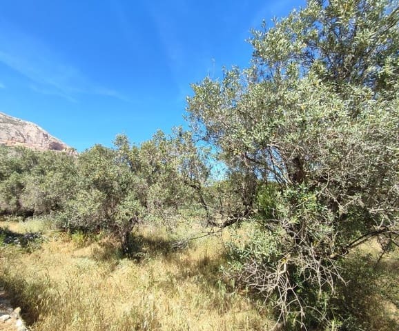 Teren niezagospodarowany na sprzedaż w Javea / Xàbia - 180 000 € (Ref: 8308909)