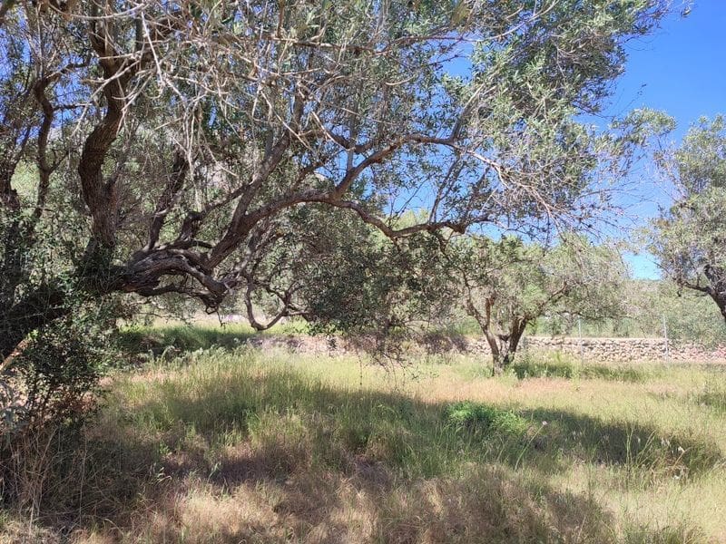 Teren niezagospodarowany na sprzedaż w Javea / Xabia - 180 000 € (Ref: 8308909)