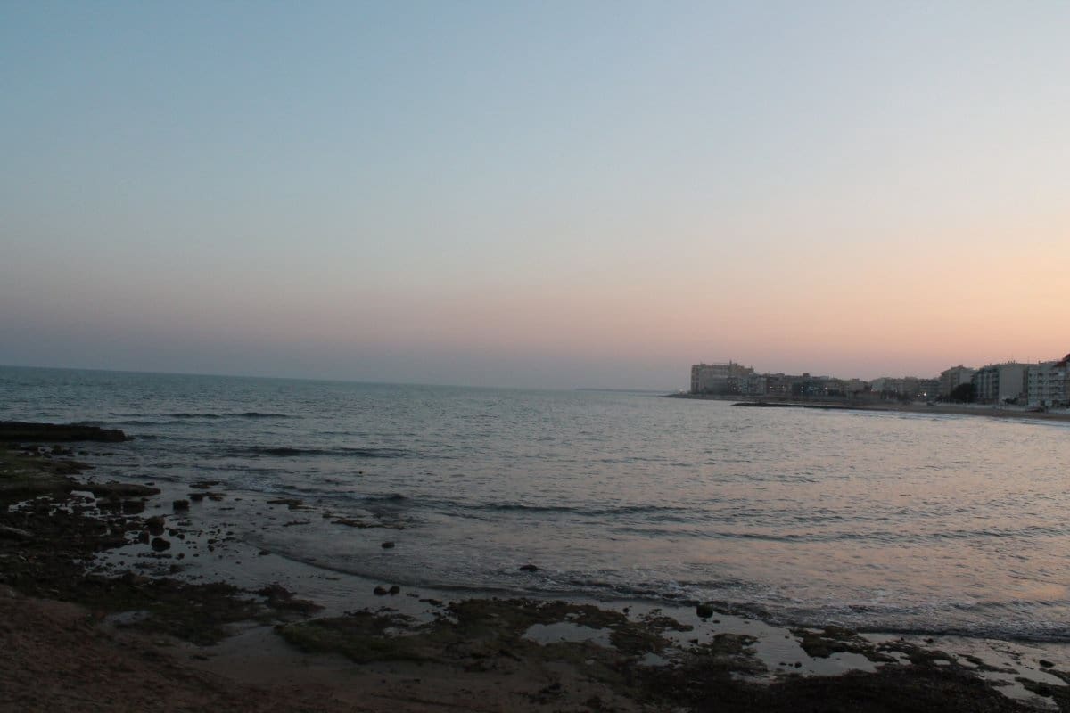 Studio te huur in Torrevieja - € 600 (Ref: 9262742)