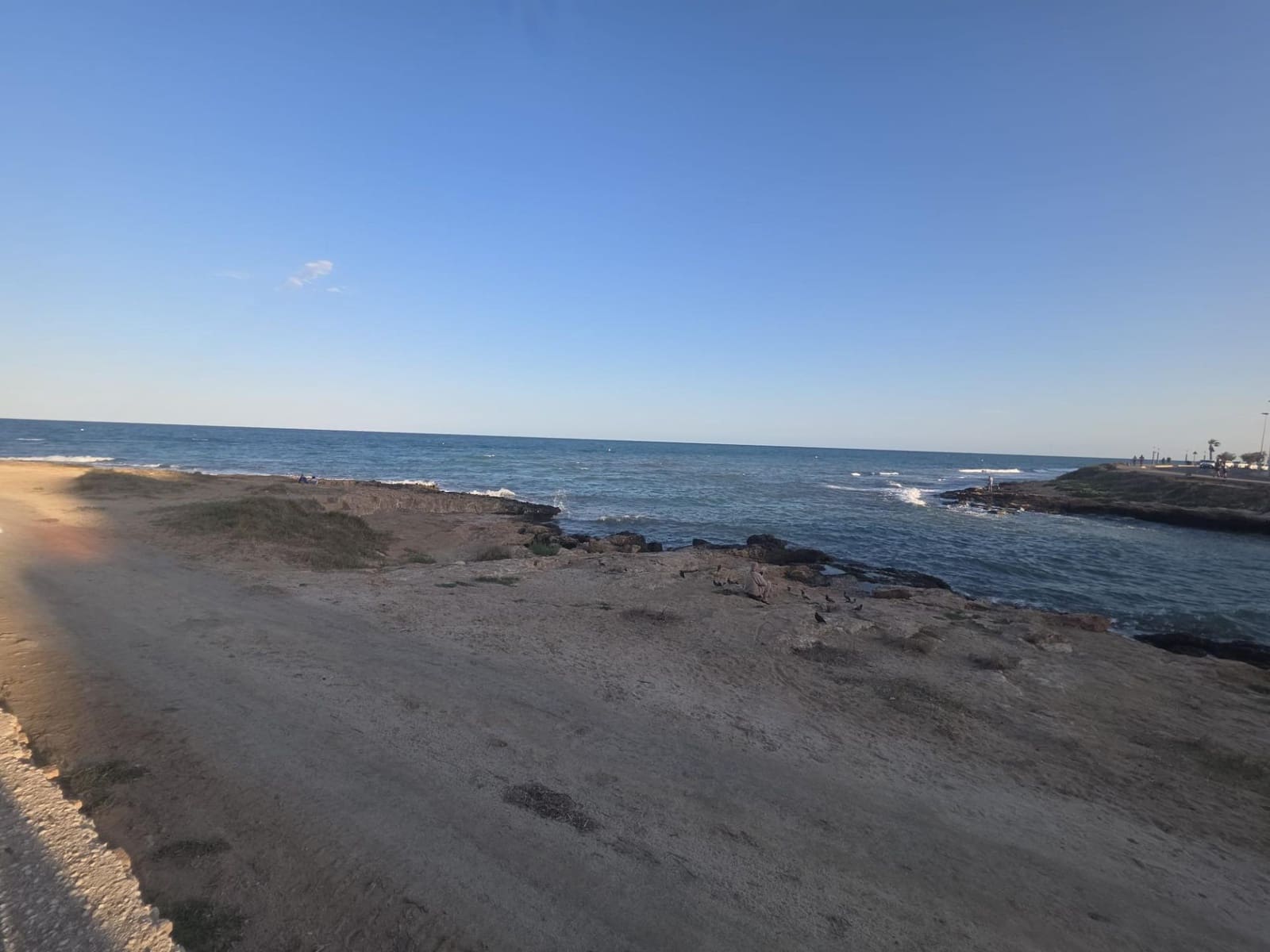Studio te huur in Torrevieja - € 600 (Ref: 9262742)
