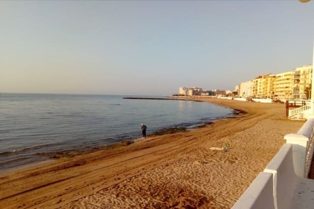 Estúdio para arrendar em Playa de los Locos, Torrevieja - 595 € (Ref: 9262742)