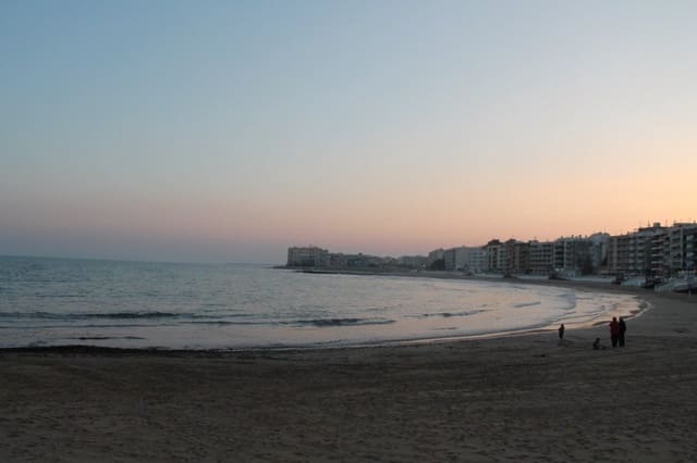 Estúdio para arrendar em Playa de los Locos, Torrevieja - 595 € (Ref: 9262742)