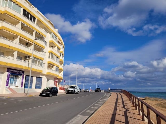 Estúdio para arrendar em Playa de los Locos, Torrevieja - 595 € (Ref: 9262742)