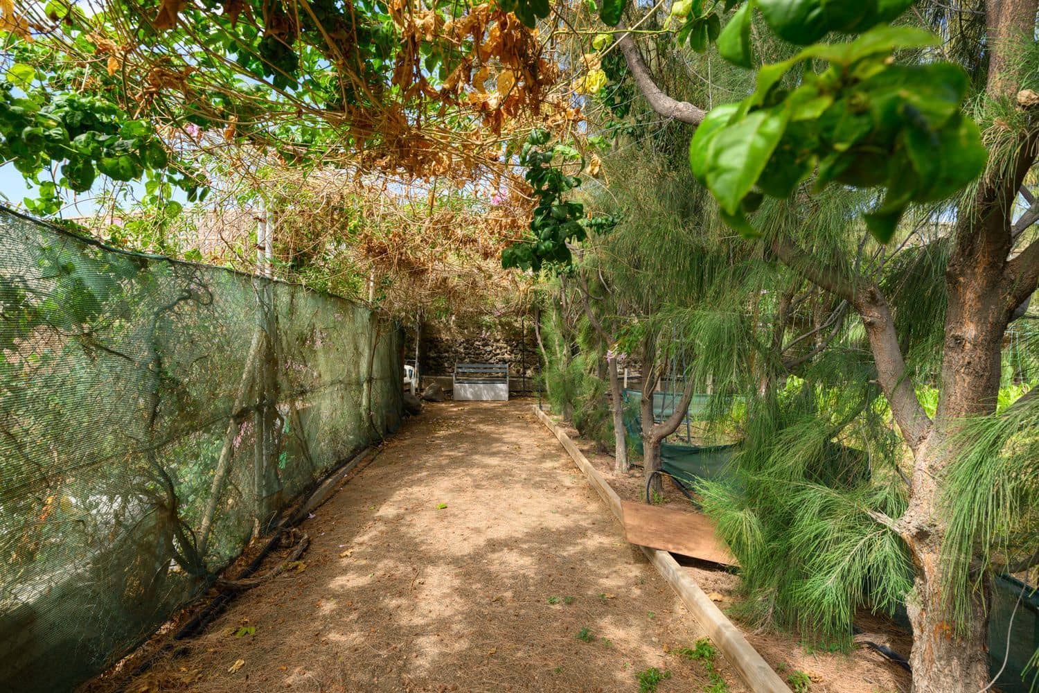 7 Zimmer Finca/Landgut zu verkaufen in Telde mit Pool Garage - 840.000 € (Ref: 9420525)