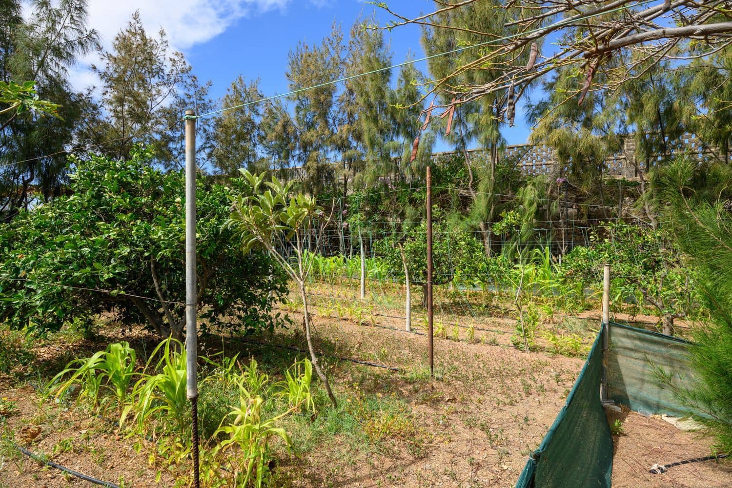 7 Zimmer Finca/Landgut zu verkaufen in Telde mit Pool Garage - 840.000 € (Ref: 9420525)