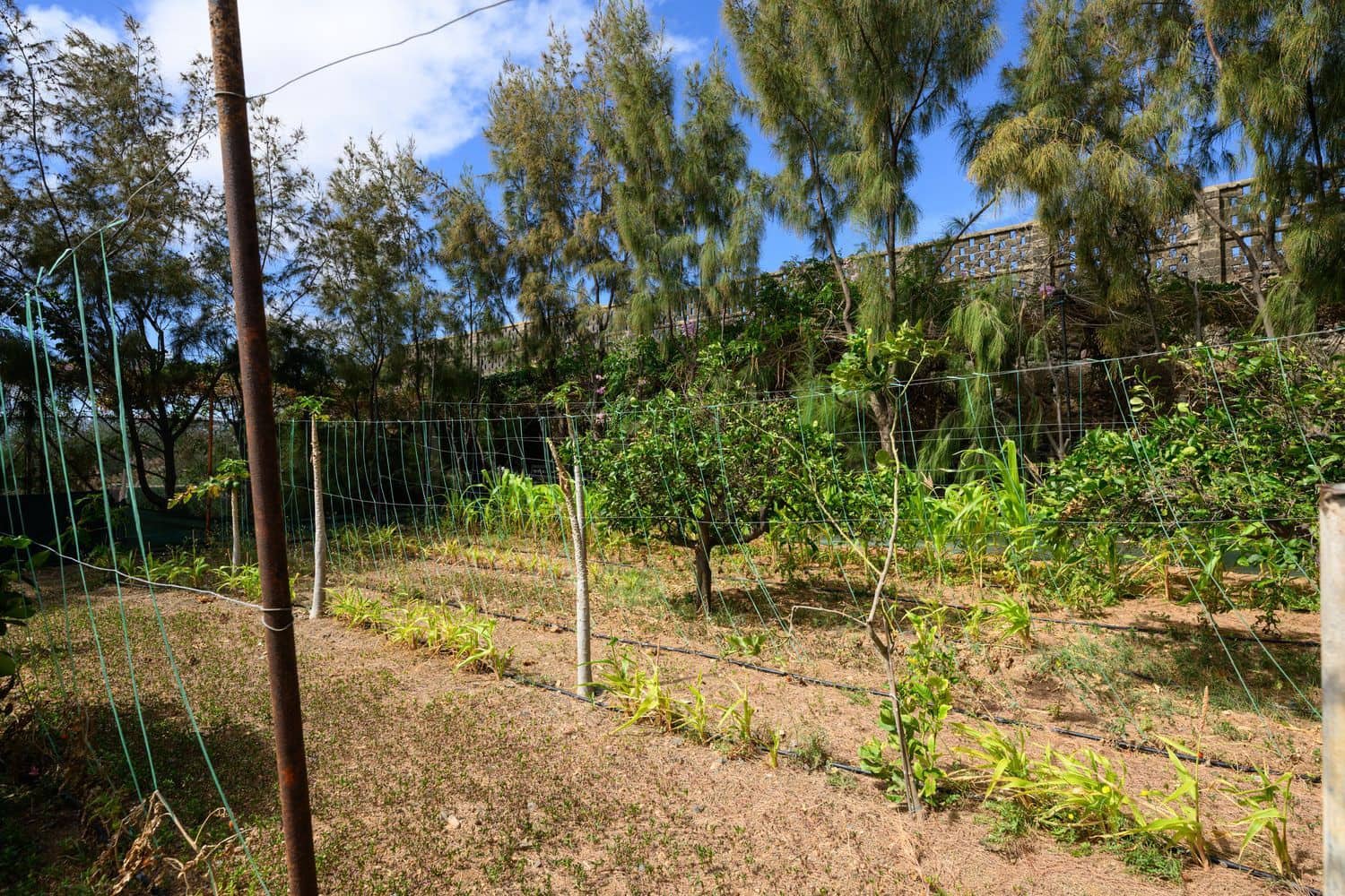 7 Zimmer Finca/Landgut zu verkaufen in Telde mit Pool Garage - 840.000 € (Ref: 9420525)