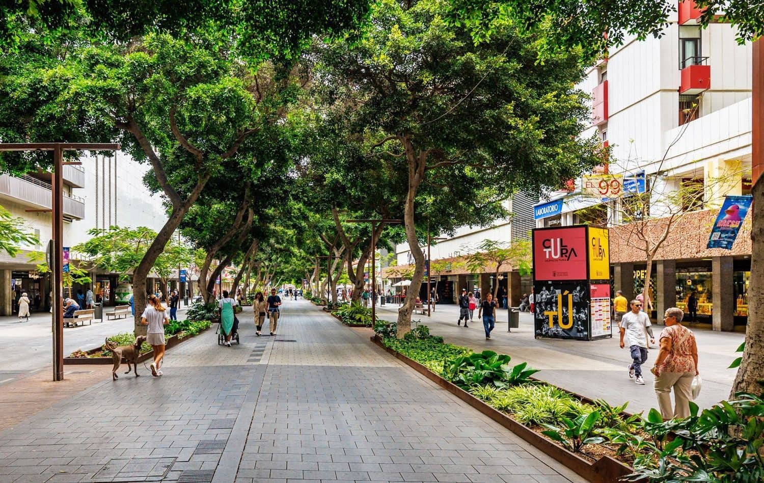 Local Comercial en Las Palmas de Gran Canaria en venta - 3.600.000 € (Ref: 9426688)