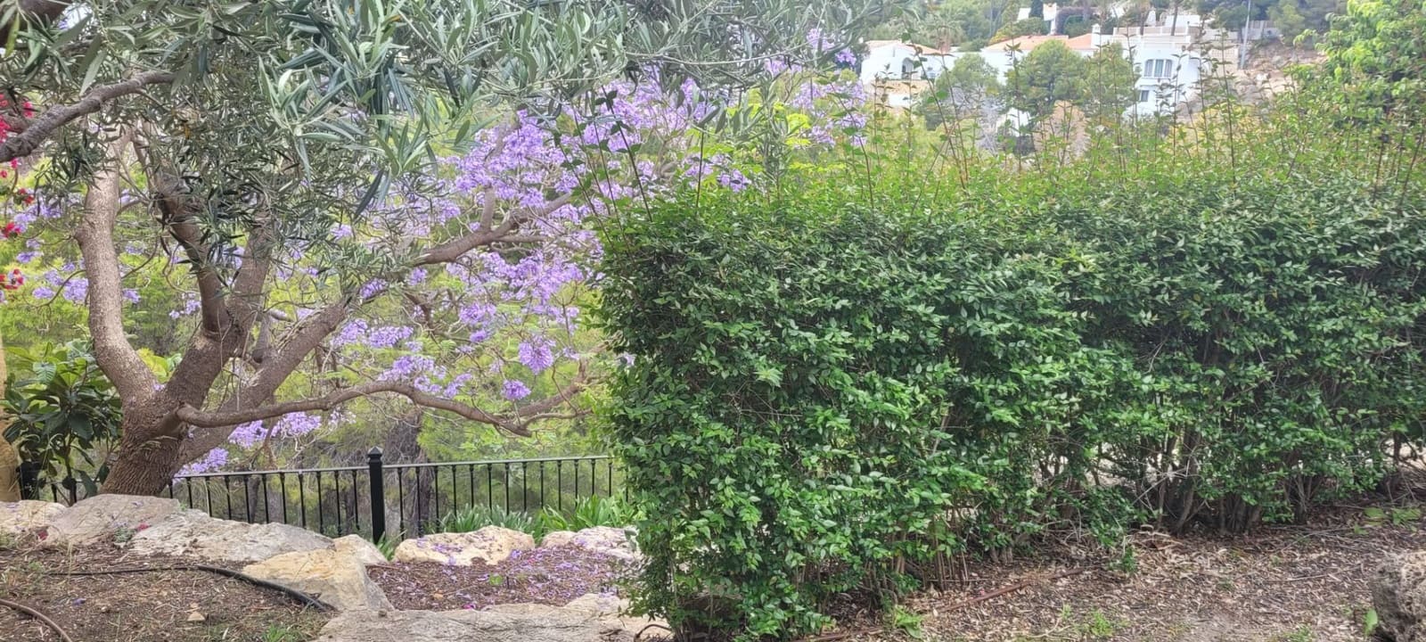 3 Zimmer Villa zu verkaufen in Altea mit Pool Garage - 790.000 € (Ref: 8312996)