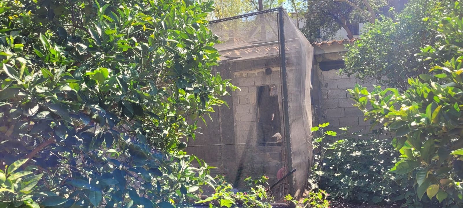 4 soveværelse Finca/Landehus til salg i Altea - € 480.000 (Ref: 8415044)