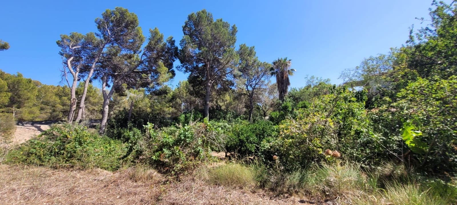 4 soveværelse Finca/Landehus til salg i Altea - € 480.000 (Ref: 8415044)