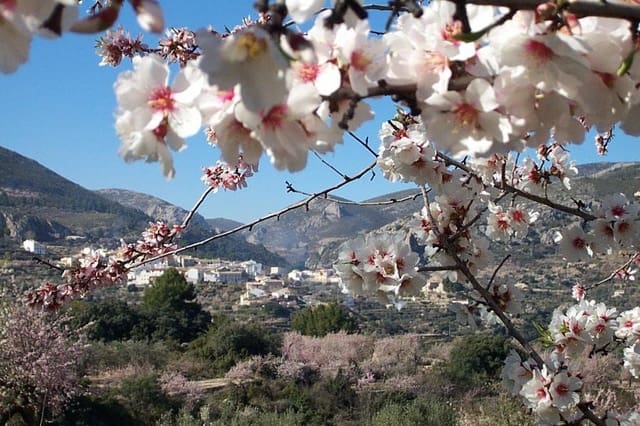 1 bedroom Finca/Country House for sale in Confrides - € 135,000 (Ref: 8457667)