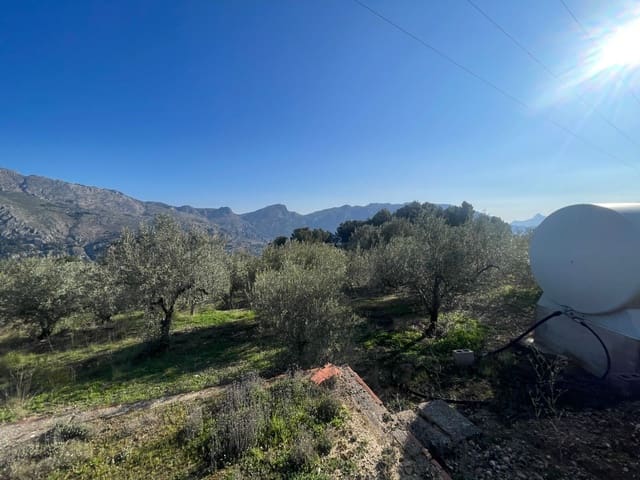 Terre non Aménagée à vendre à Benifato - 150 000 € (Ref: 9719406)