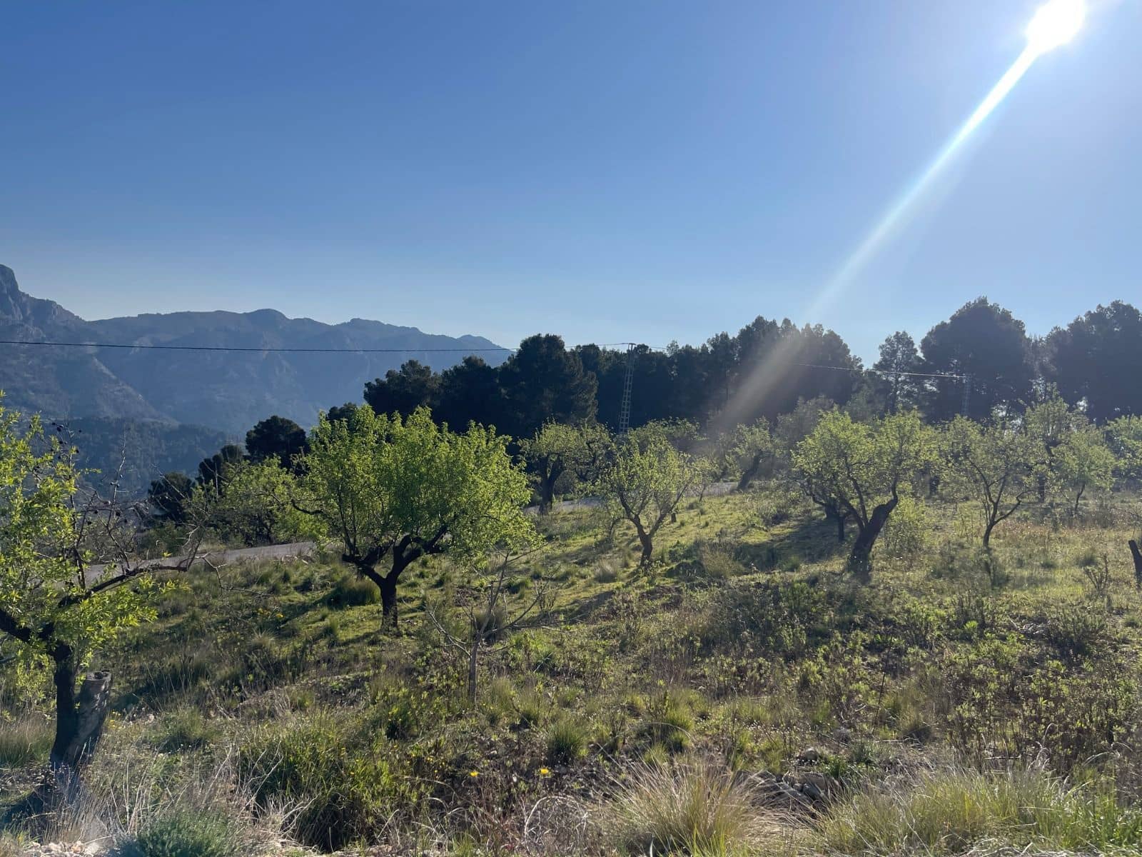 Rakentamaton maa myytävänä paikassa Benifato - 150 000 € (Ref: 9719406)