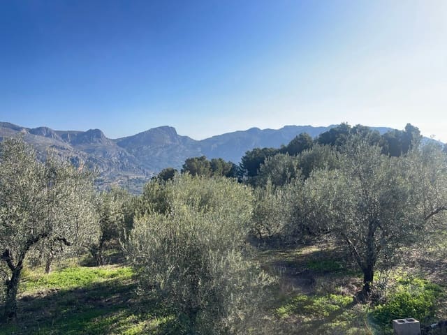 Terre non Aménagée à vendre à Benifato - 150 000 € (Ref: 9719406)