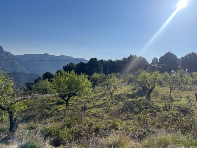 Terre non Aménagée à vendre à Benifato - 150 000 € (Ref: 9719406)