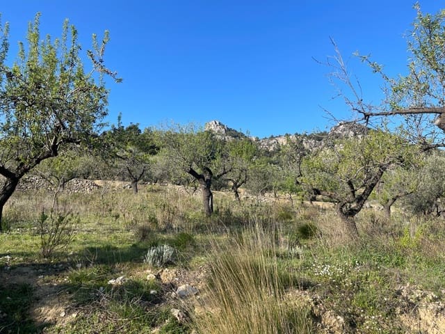 Terre non Aménagée à vendre à Benifato - 150 000 € (Ref: 9719406)