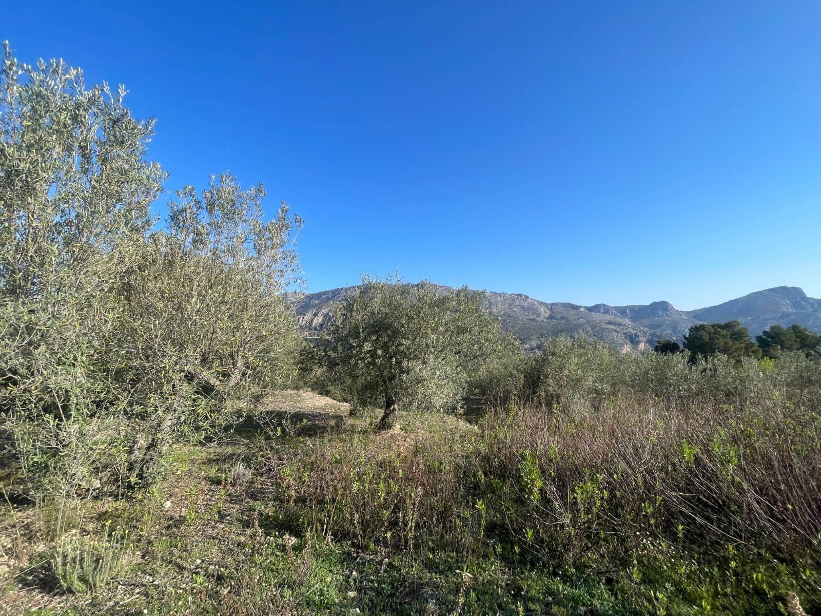 Rakentamaton maa myytävänä paikassa Benifato - 150 000 € (Ref: 9719406)