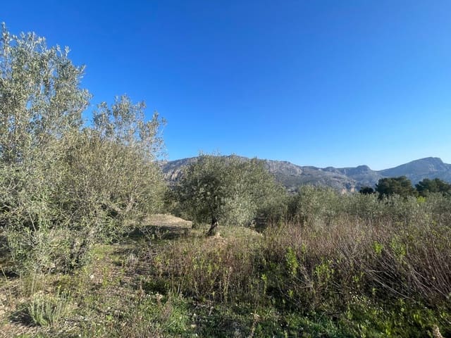 Terre non Aménagée à vendre à Benifato - 150 000 € (Ref: 9719406)