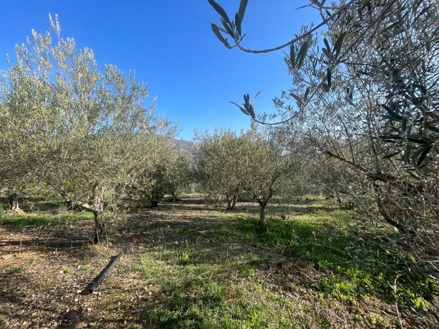 Terre non Aménagée à vendre à Benifato - 150 000 € (Ref: 9719406)