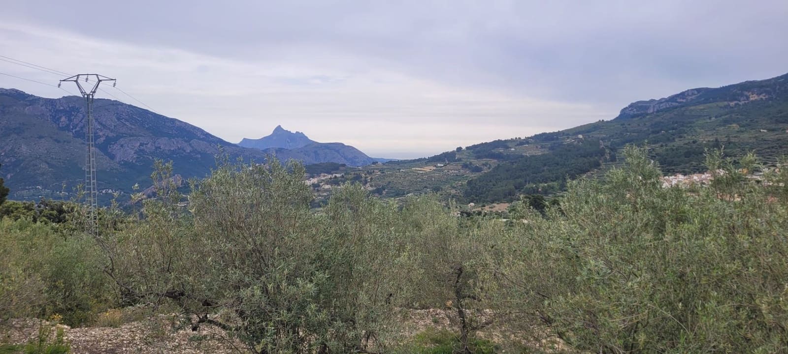 Undeveloped Land for sale in Benifato - € 130,000 (Ref: 9719406)