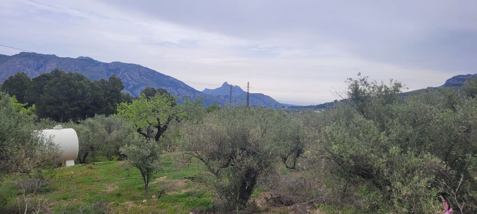 Undeveloped Land for sale in Benifato - € 130,000 (Ref: 9719406)