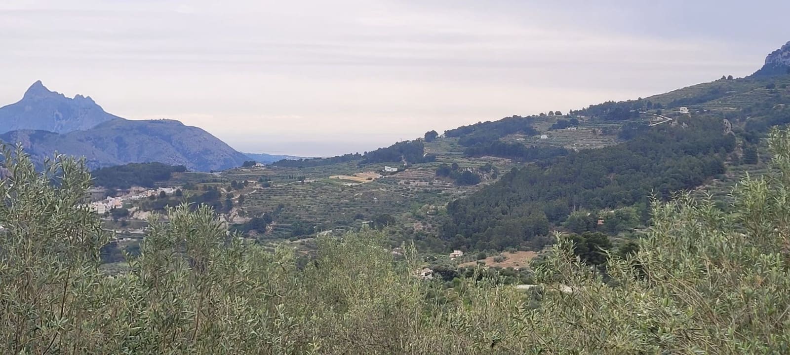 Undeveloped Land for sale in Benifato - € 130,000 (Ref: 9719406)