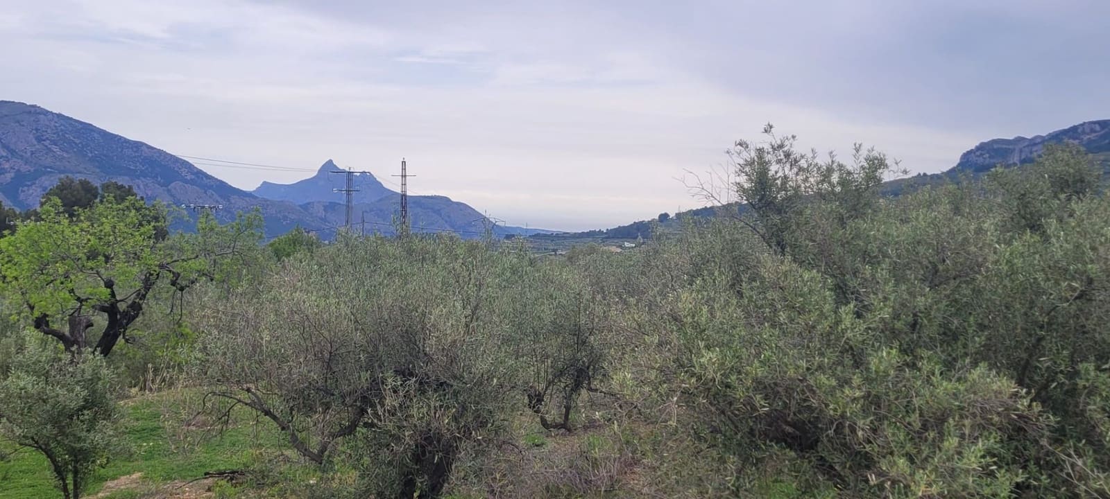 Undeveloped Land for sale in Benifato - € 130,000 (Ref: 9719406)