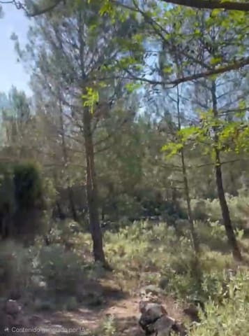 2 sypialnia Finka/Dom wiejski na sprzedaż w Bocairent - 125 000 € (Ref: 9813637)