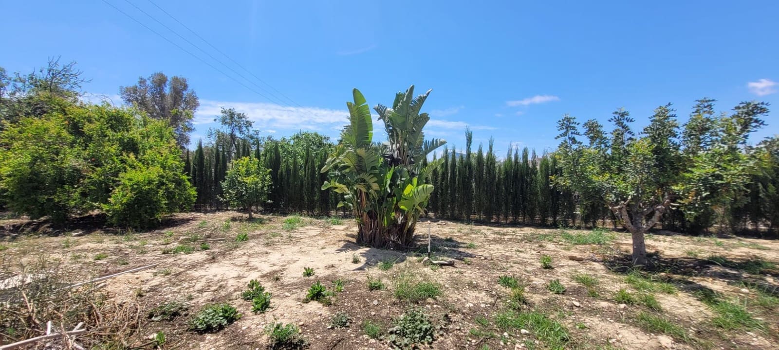 Grunde uden byggetilladelser til salg i Altea - € 399.000 (Ref: 9835090)