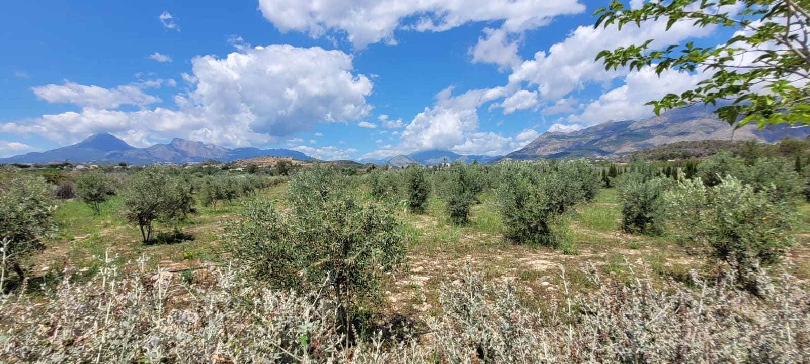 Grunde uden byggetilladelser til salg i Altea - € 399.000 (Ref: 9835090)