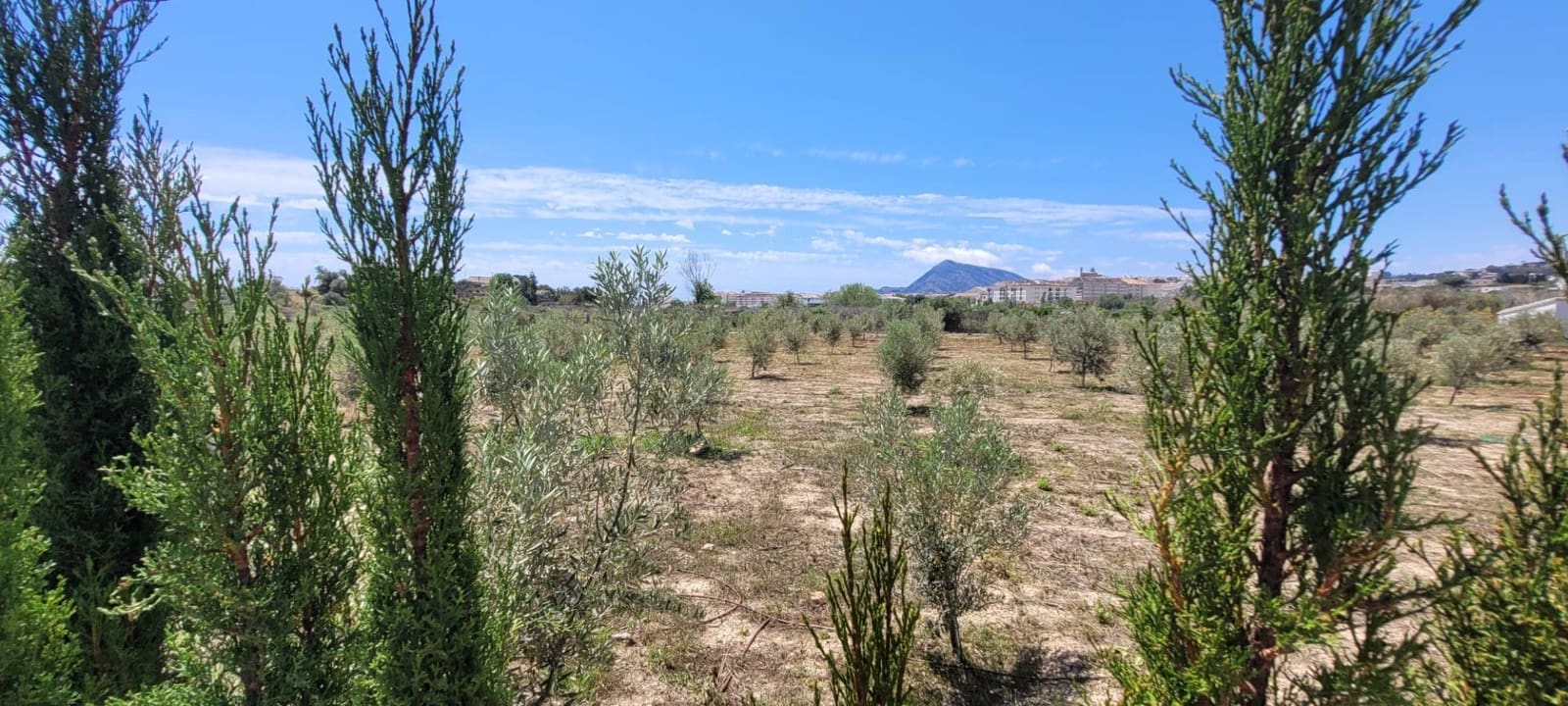Grunde uden byggetilladelser til salg i Altea - € 399.000 (Ref: 9835090)