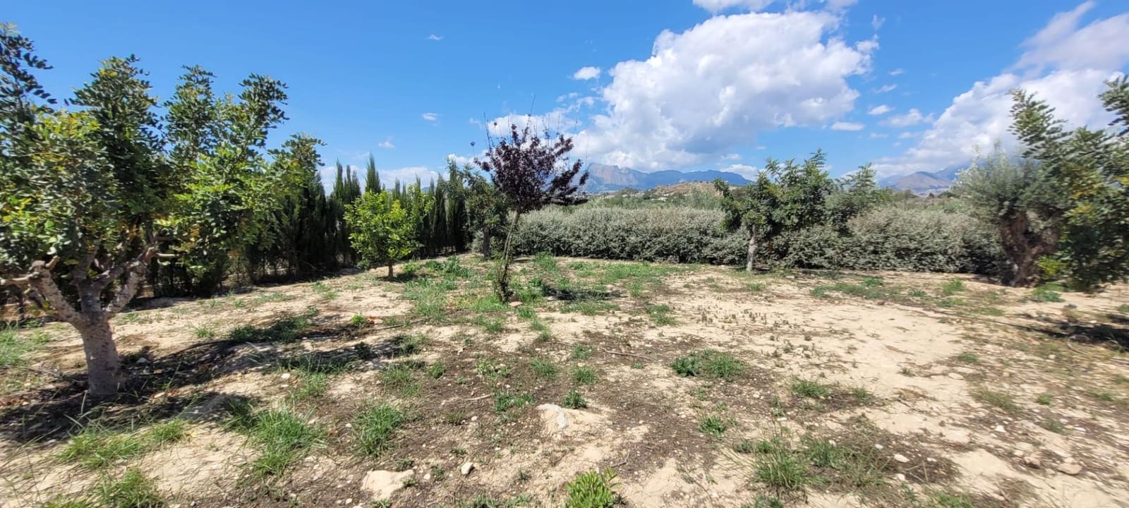 Grunde uden byggetilladelser til salg i Altea - € 399.000 (Ref: 9835090)