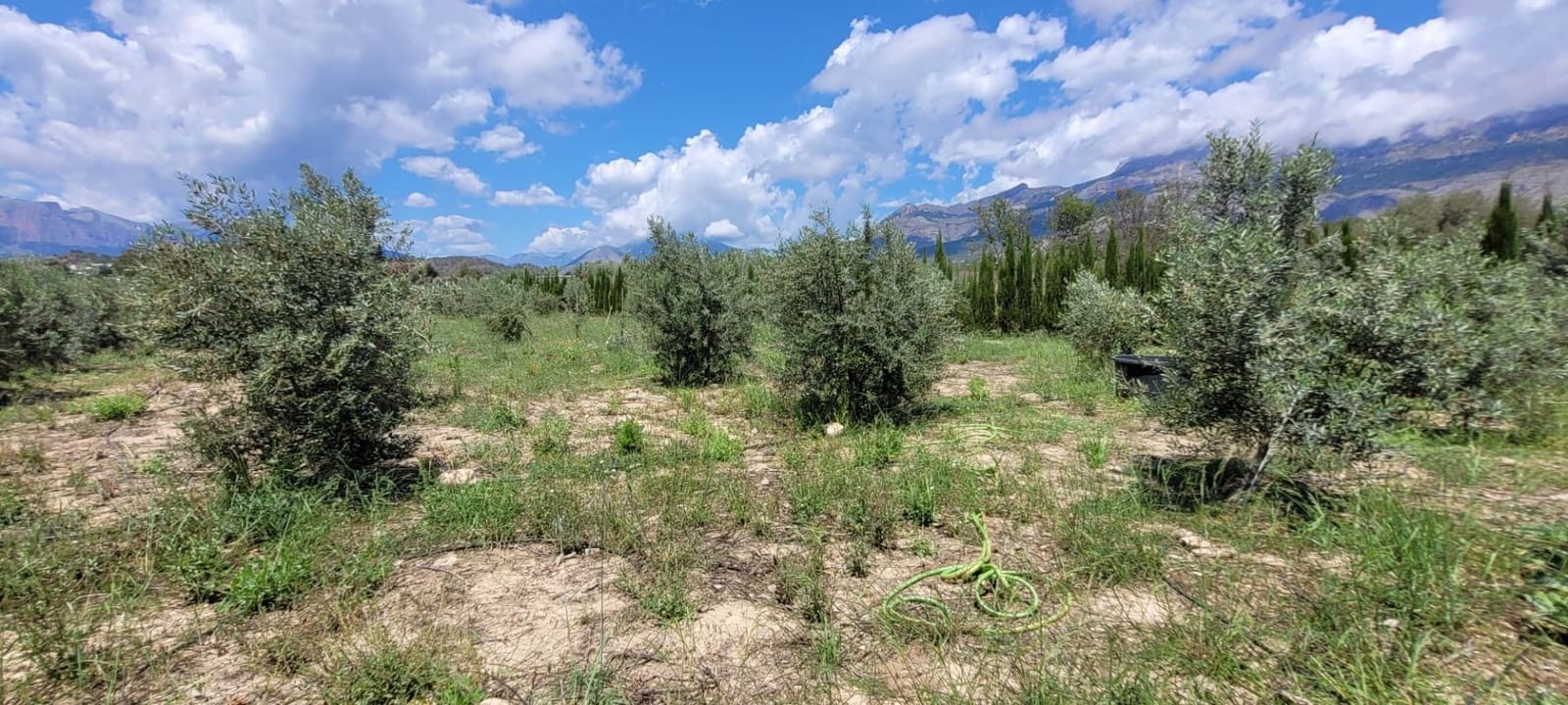 Grunde uden byggetilladelser til salg i Altea - € 399.000 (Ref: 9835090)