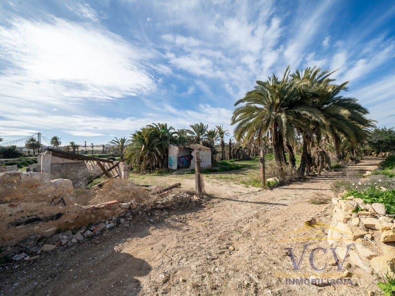 Undeveloped Land for sale in Elche / Elx - € 400,000 (Ref: 9948469)