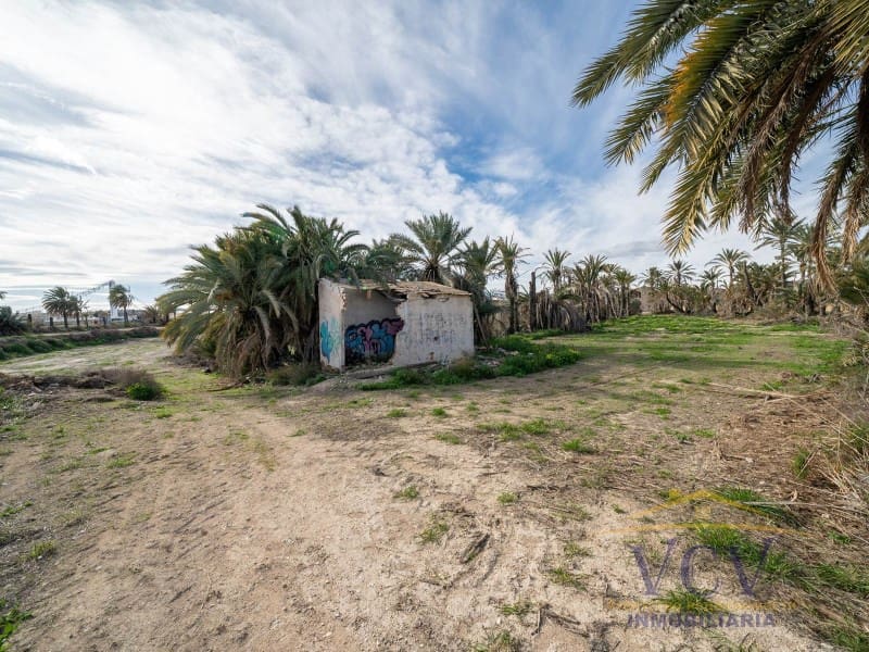 Undeveloped Land for sale in Elche / Elx - € 400,000 (Ref: 9948469)