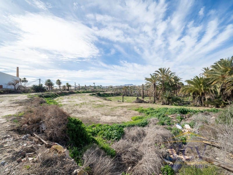 Undeveloped Land for sale in Elche / Elx - € 400,000 (Ref: 9948469)