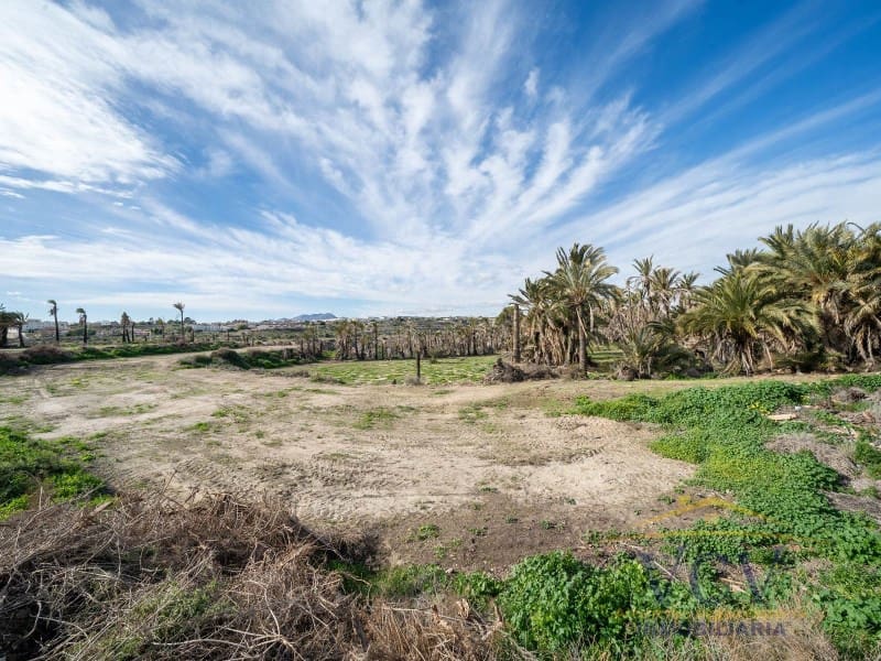 Undeveloped Land for sale in Elche / Elx - € 400,000 (Ref: 9948469)