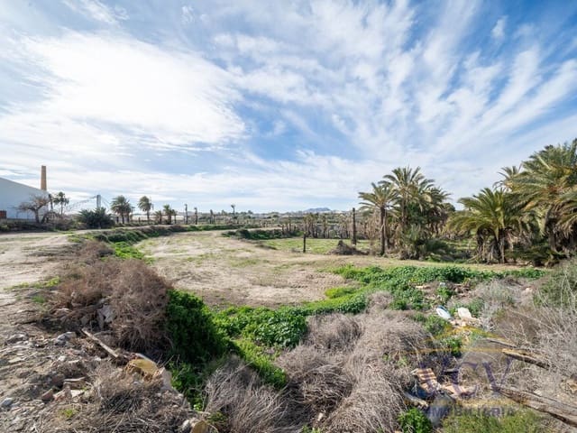 Grunde uden byggetilladelser til salg i Elche ciudad, Elche / Elx - € 400.000 (Ref: 9948469)