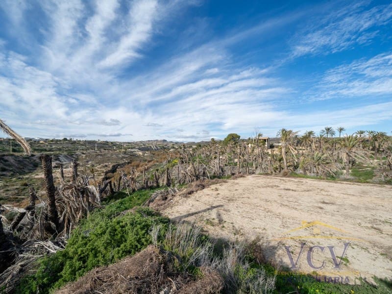 Undeveloped Land for sale in Elche / Elx - € 400,000 (Ref: 9948469)