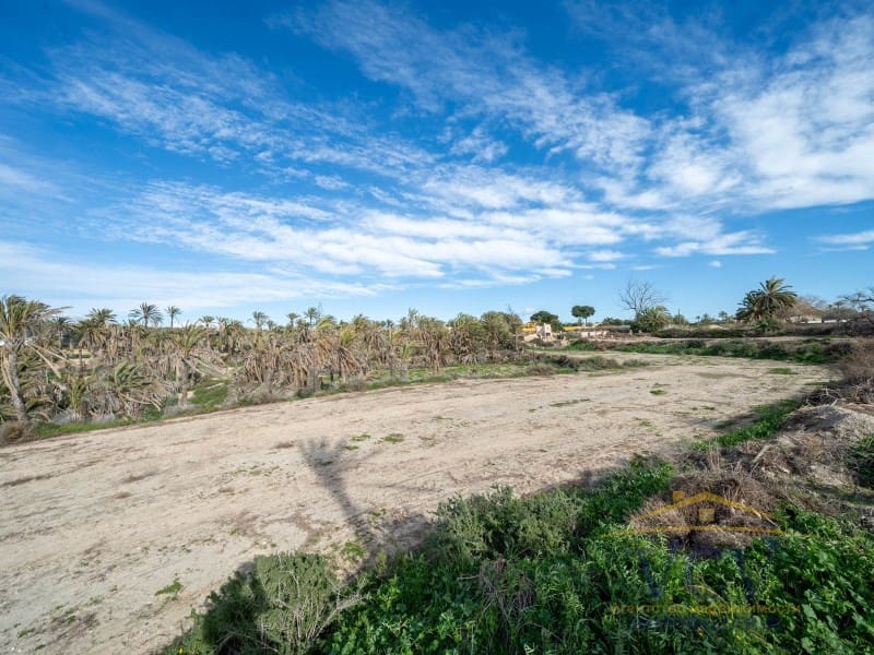 Undeveloped Land for sale in Elche / Elx - € 400,000 (Ref: 9948469)