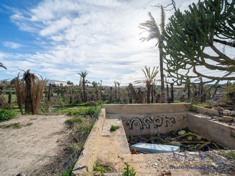 Undeveloped Land for sale in Elche / Elx - € 400,000 (Ref: 9948469)