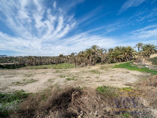 Grunde uden byggetilladelser til salg i Elche ciudad, Elche / Elx - € 400.000 (Ref: 9948469)