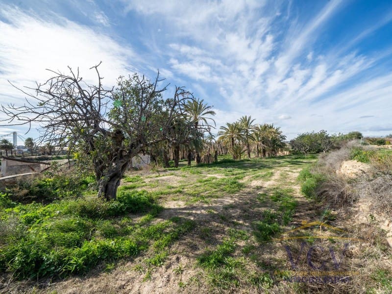 Undeveloped Land for sale in Elche / Elx - € 400,000 (Ref: 9948469)