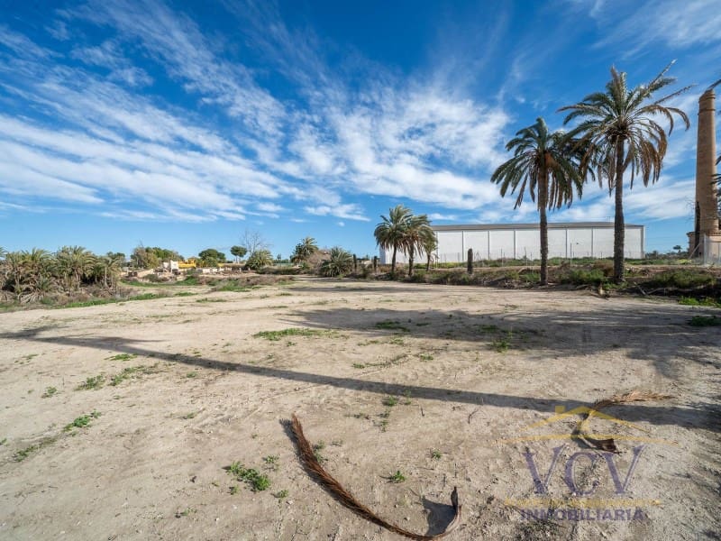 Undeveloped Land for sale in Elche / Elx - € 400,000 (Ref: 9948469)