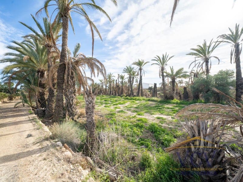 Undeveloped Land for sale in Elche / Elx - € 400,000 (Ref: 9948469)