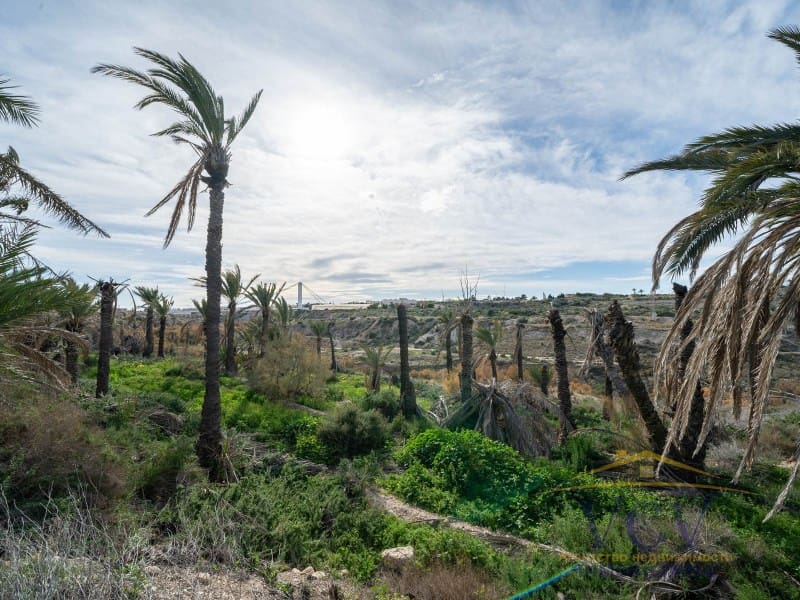 Undeveloped Land for sale in Elche / Elx - € 400,000 (Ref: 9948469)